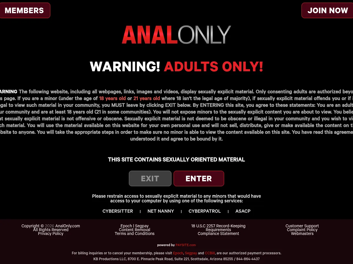A heavily blurred, censored capture of the Anal Only homepage — only soft shapes are visible, no explicit or readable content