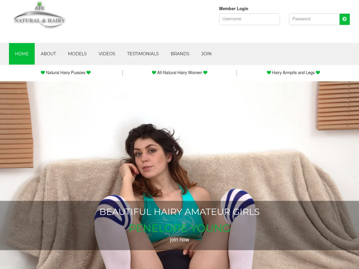 A heavily blurred, censored capture of the ATK Hairy homepage โ only soft shapes are visible, no explicit or readable content
