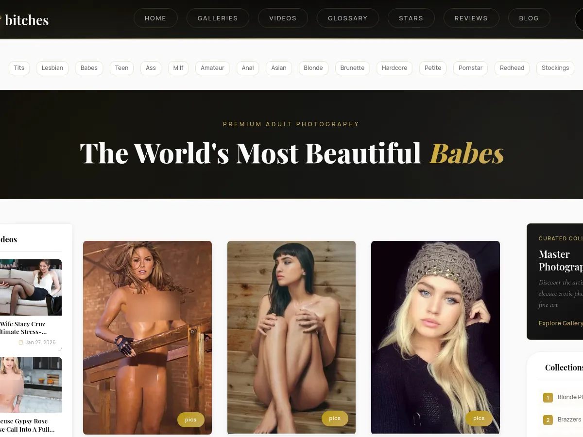 A heavily blurred, censored capture of the BabesAndBitches homepage — only soft shapes are visible, no explicit or readable content