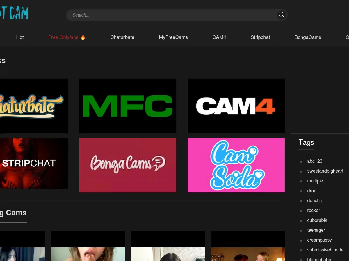 A heavily blurred, censored capture of the BestCam.tv homepage — only soft shapes are visible, no explicit or readable content