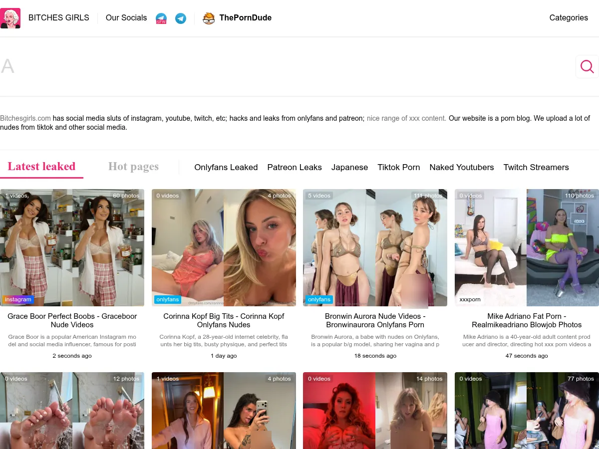 A heavily blurred, censored capture of the BitchesGirls homepage — only soft shapes are visible, no explicit or readable content