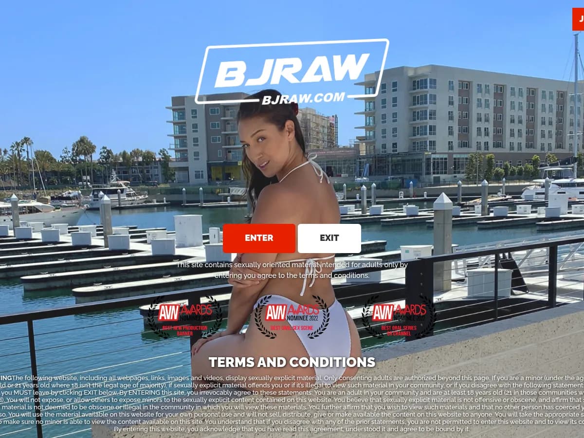 A heavily blurred, censored capture of the BJRaw homepage โ only soft shapes are visible, no explicit or readable content