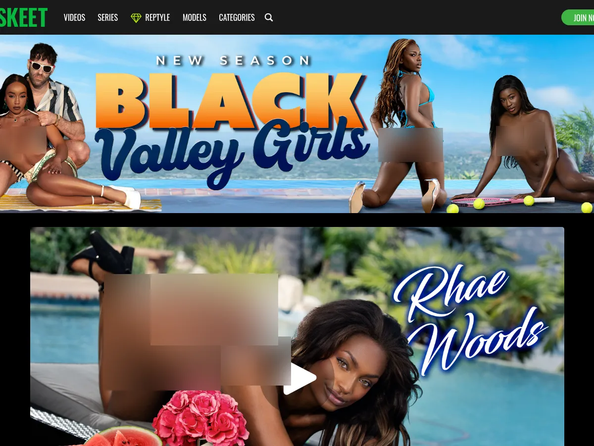 A heavily blurred, censored capture of the Black Valley Girls homepage โ only soft shapes are visible, no explicit or readable content