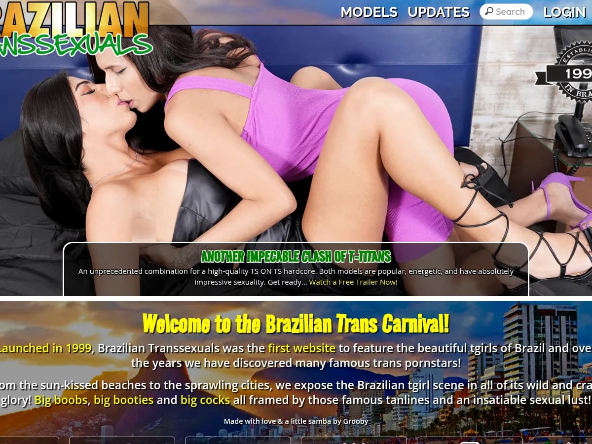 A heavily blurred, censored capture of the Brazilian Transsexuals homepage — only soft shapes are visible, no explicit or readable content