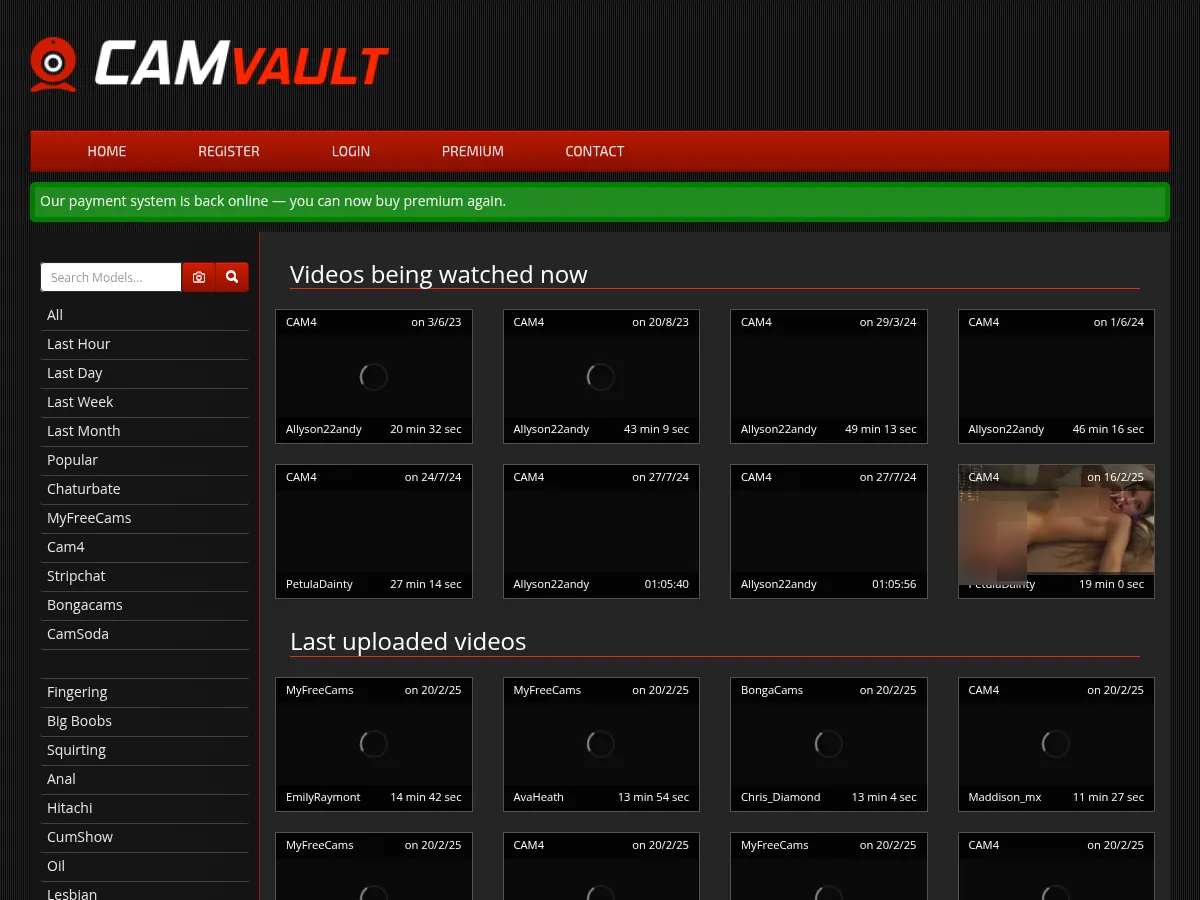 A heavily blurred, censored capture of the CamVault homepage — only soft shapes are visible, no explicit or readable content