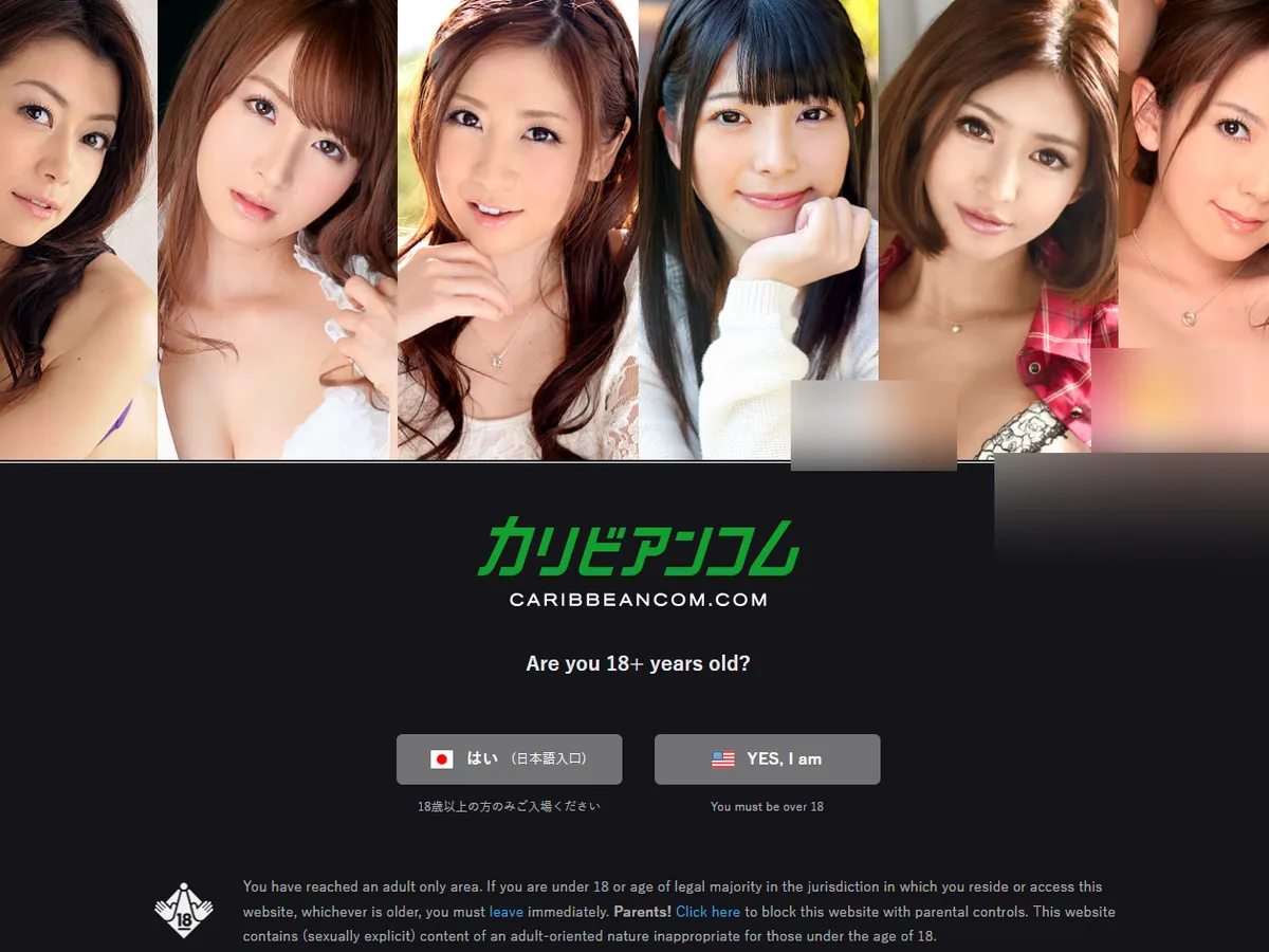 A heavily blurred, censored capture of the Caribbeancom homepage โ only soft shapes are visible, no explicit or readable content