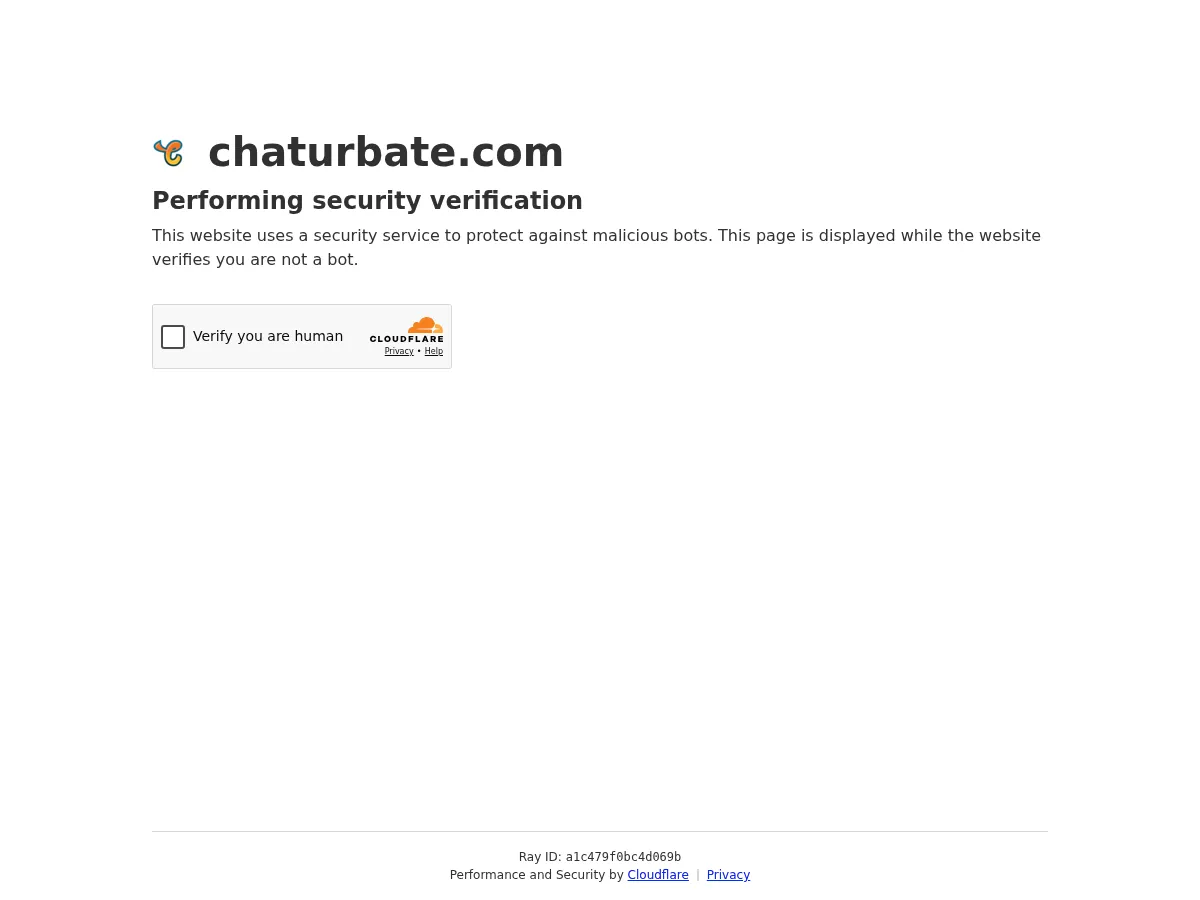 A heavily blurred, censored capture of the CamShowHub homepage — only soft shapes are visible, no explicit or readable content