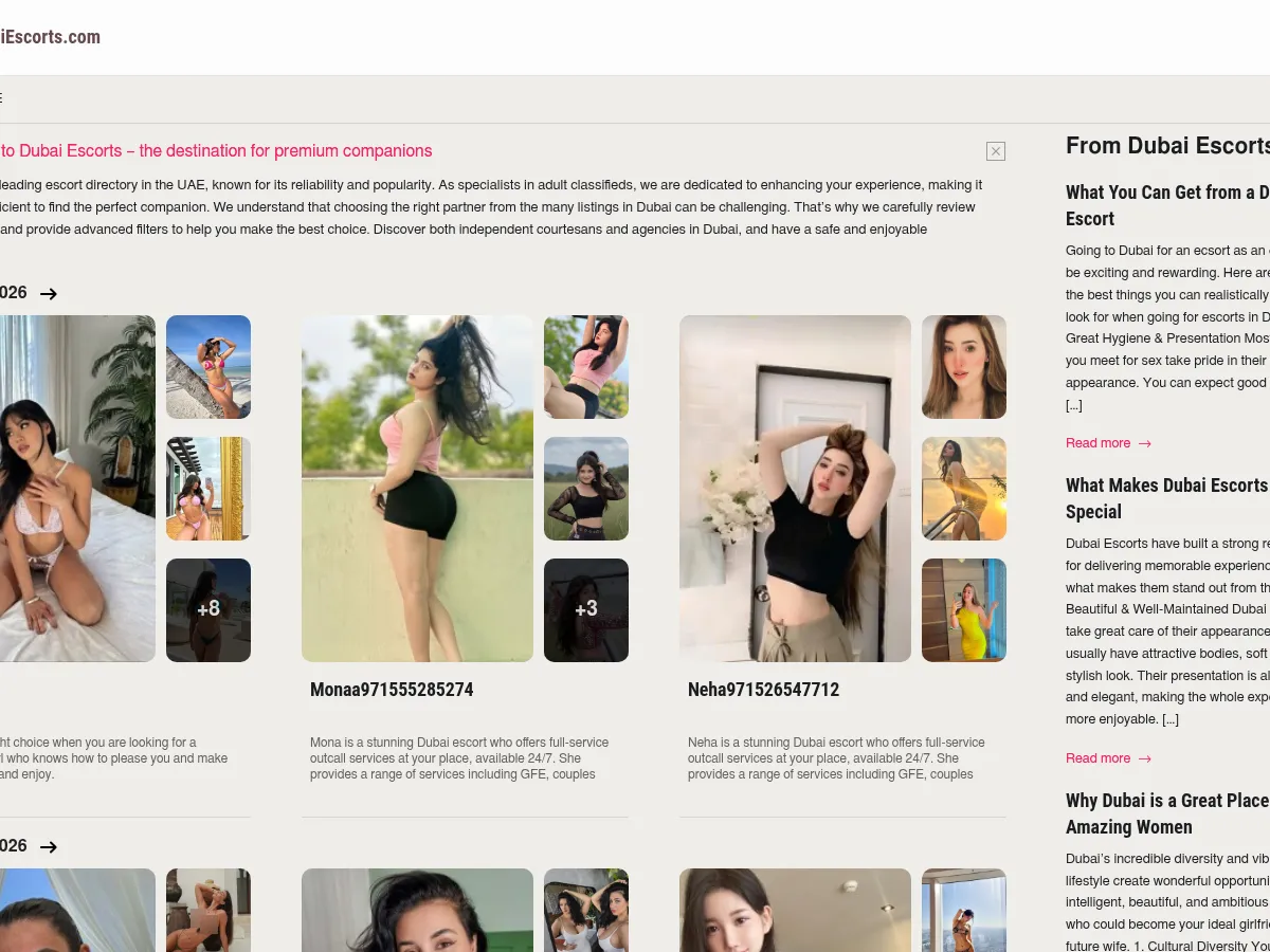 A heavily blurred, censored capture of the Dubai Escorts homepage โ only soft shapes are visible, no explicit or readable content