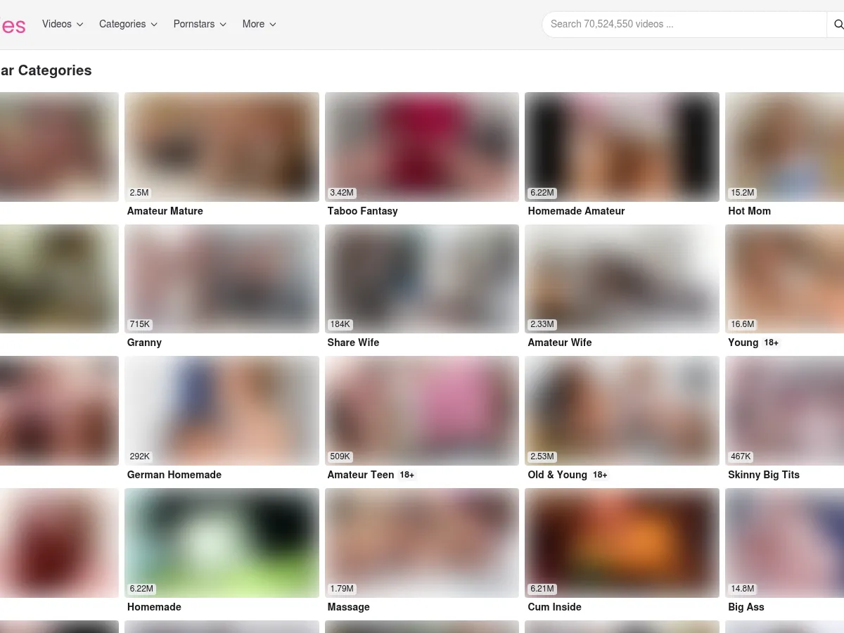 A heavily blurred, censored capture of the El Ladies homepage — only soft shapes are visible, no explicit or readable content
