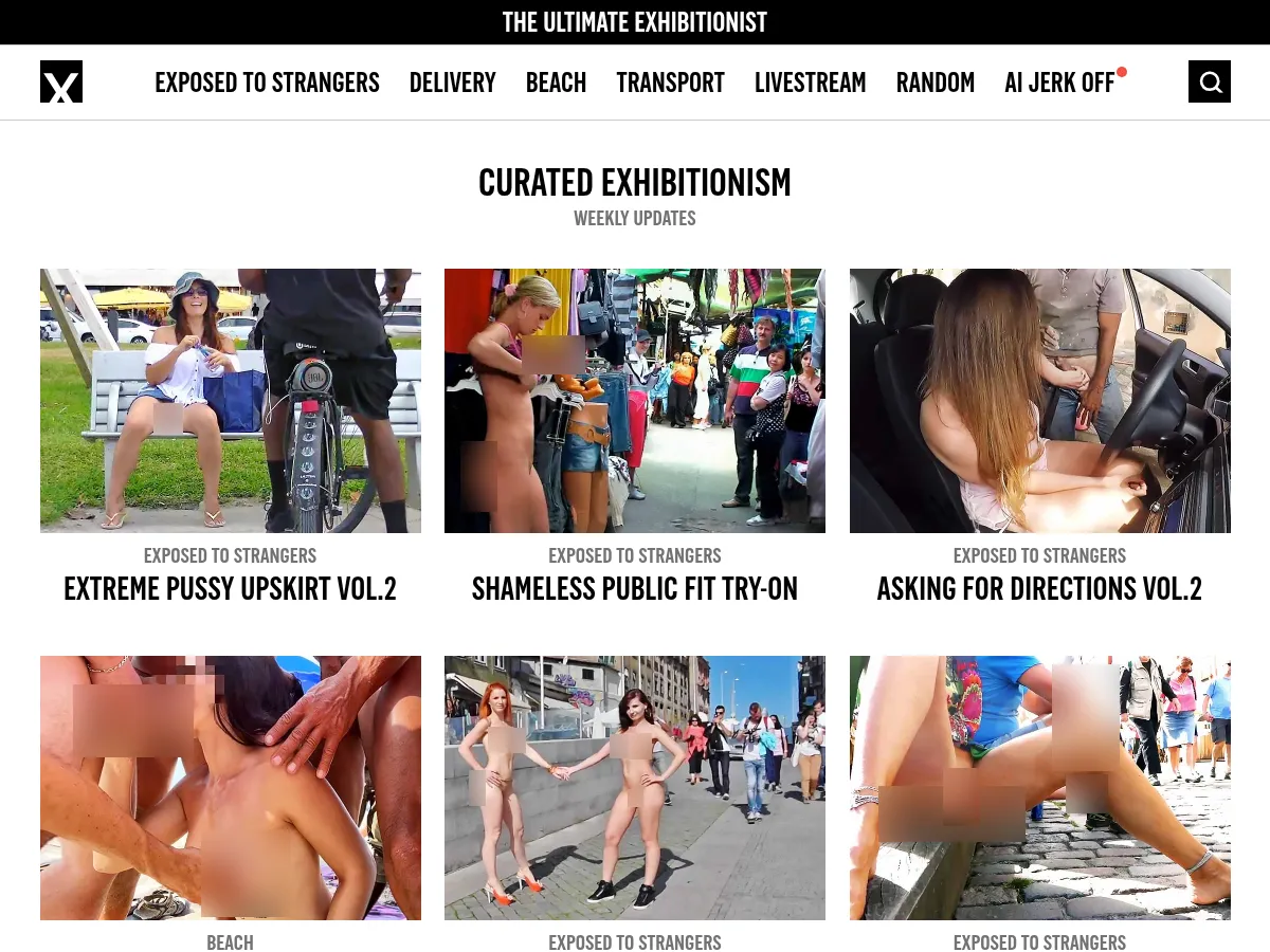 A heavily blurred, censored capture of the ExposedToStrangers homepage — only soft shapes are visible, no explicit or readable content