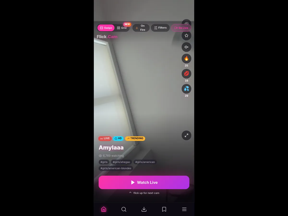 A heavily blurred, censored capture of the Flick.cam homepage — only soft shapes are visible, no explicit or readable content