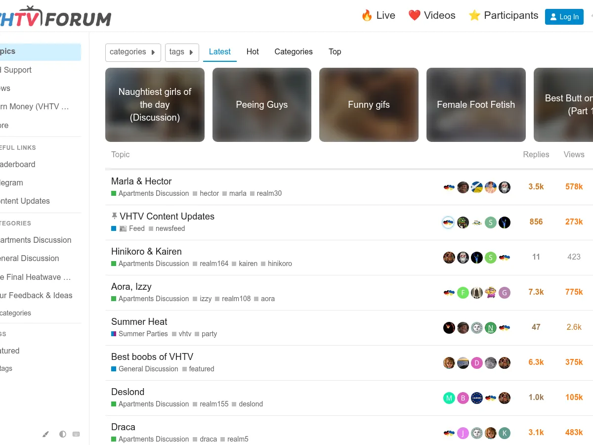 A heavily blurred, censored capture of the Voyeur House Forum homepage — only soft shapes are visible, no explicit or readable content