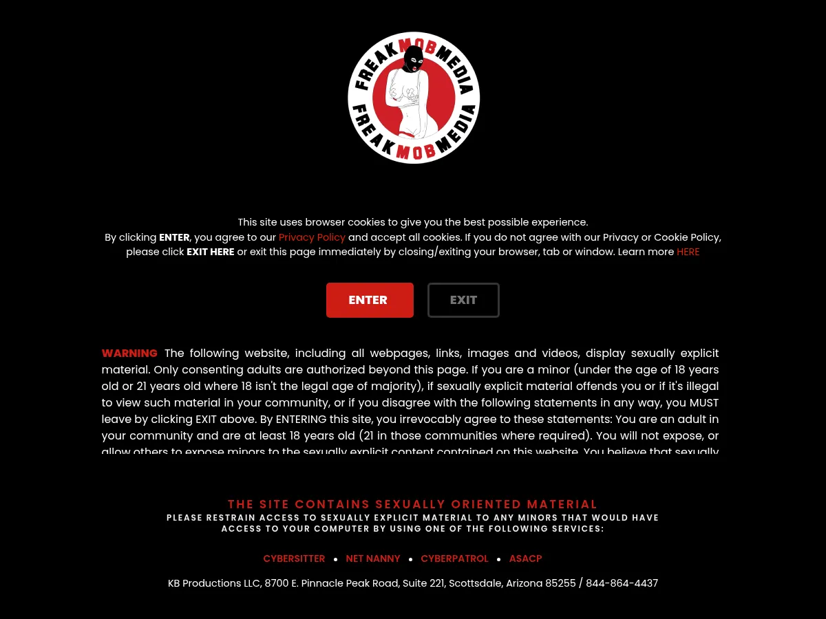 A heavily blurred, censored capture of the FreakMobMedia homepage โ only soft shapes are visible, no explicit or readable content