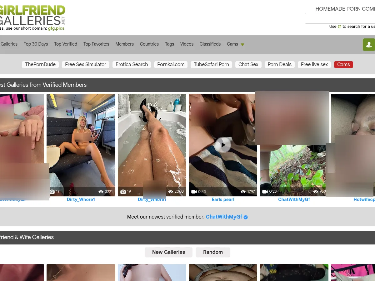 A heavily blurred, censored capture of the Girlfriend Galleries homepage — only soft shapes are visible, no explicit or readable content