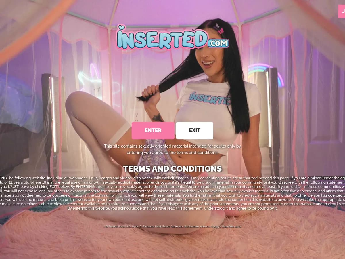 A heavily blurred, censored capture of the Inserted homepage โ only soft shapes are visible, no explicit or readable content