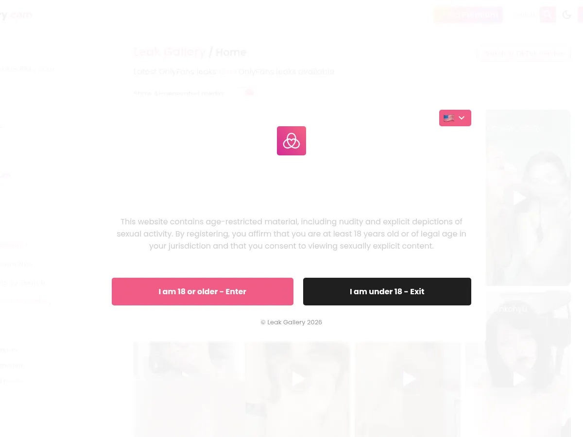 A heavily blurred, censored capture of the LeakGallery homepage — only soft shapes are visible, no explicit or readable content