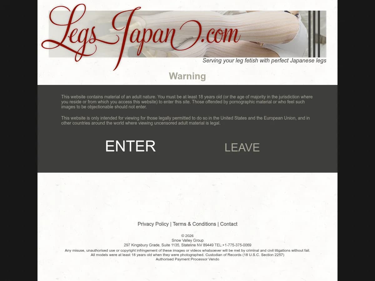 A heavily blurred, censored capture of the Legs Japan homepage โ only soft shapes are visible, no explicit or readable content