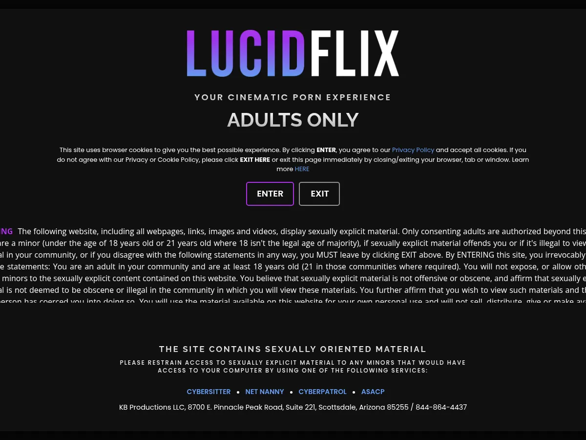 A heavily blurred, censored capture of the LucidFlix homepage โ only soft shapes are visible, no explicit or readable content