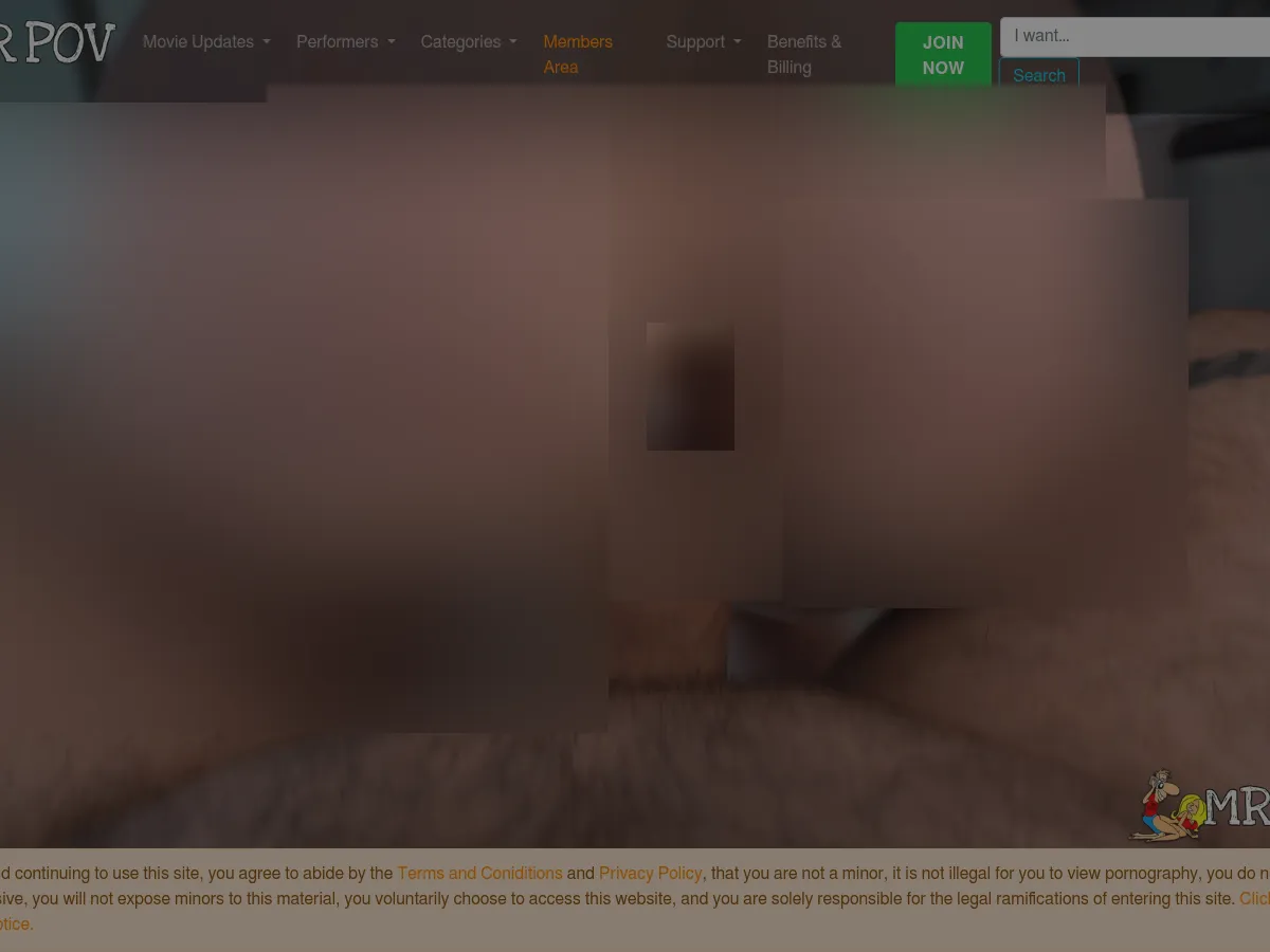 A heavily blurred, censored capture of the Mr POV homepage — only soft shapes are visible, no explicit or readable content
