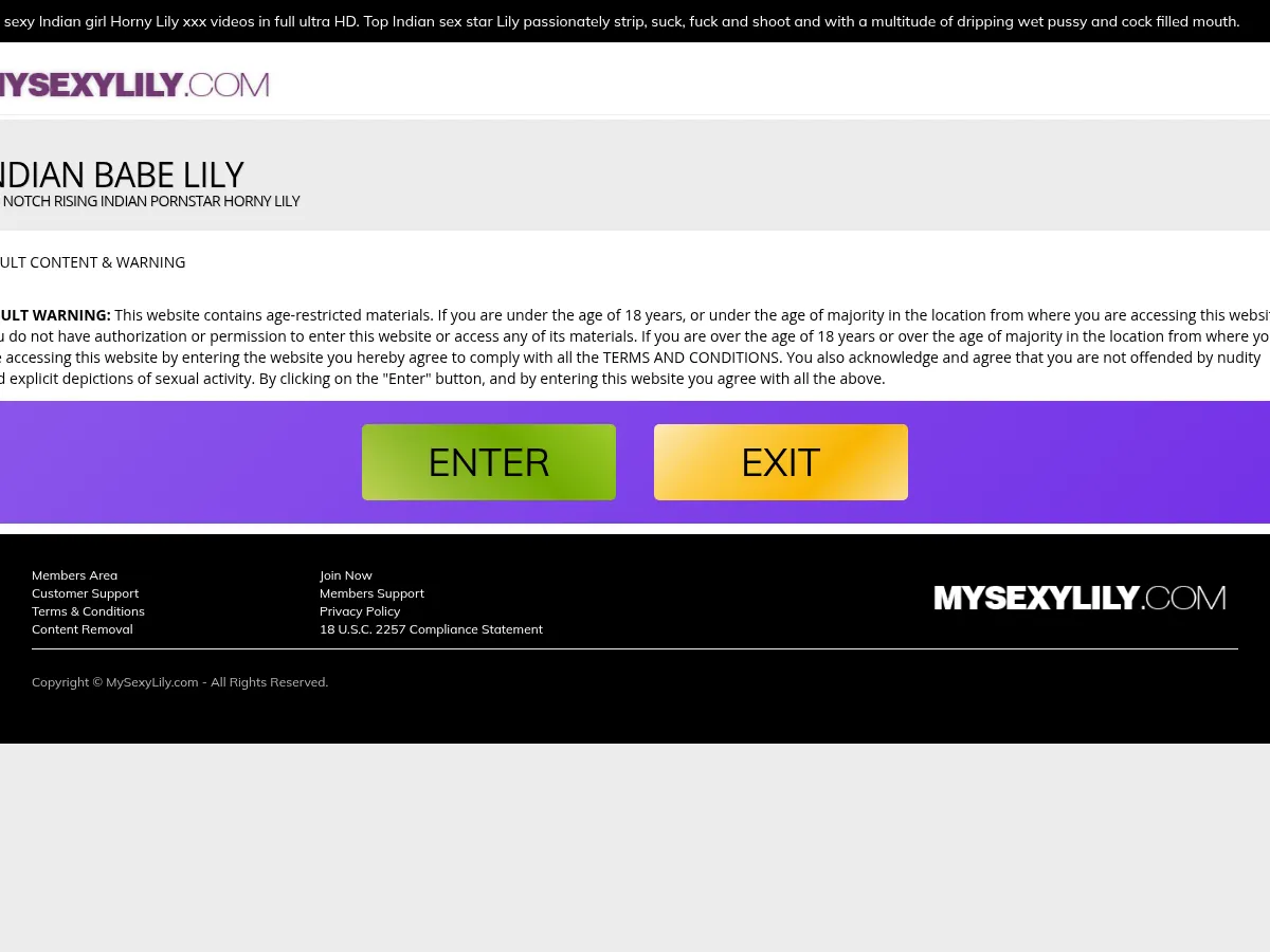 A heavily blurred, censored capture of the Horny Lily homepage โ only soft shapes are visible, no explicit or readable content