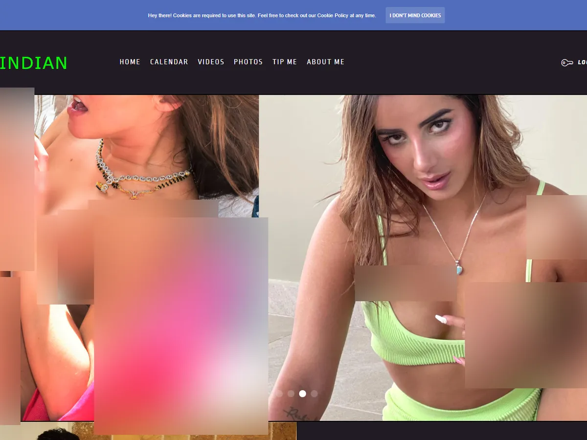 A heavily blurred, censored capture of the Niks Indian homepage — only soft shapes are visible, no explicit or readable content