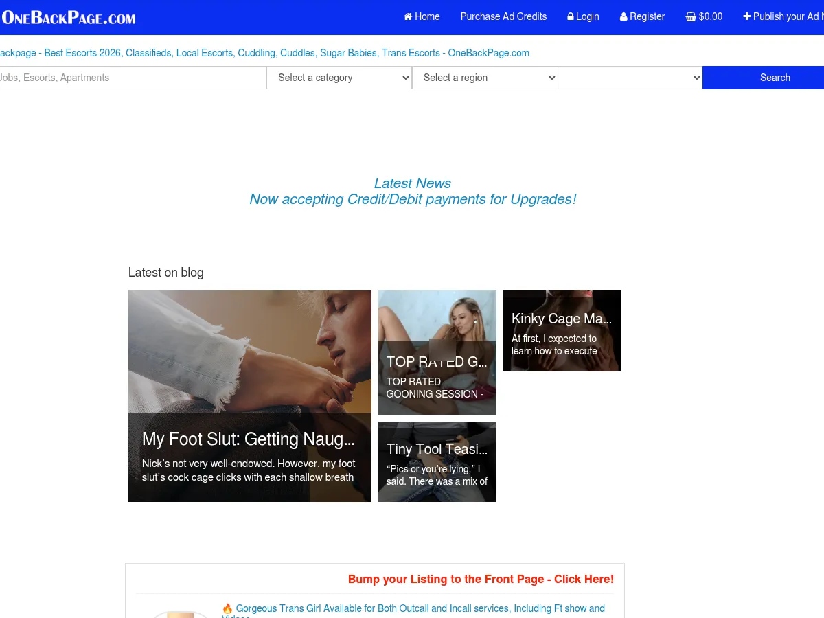 A heavily blurred, censored capture of the OneBackpage homepage โ only soft shapes are visible, no explicit or readable content