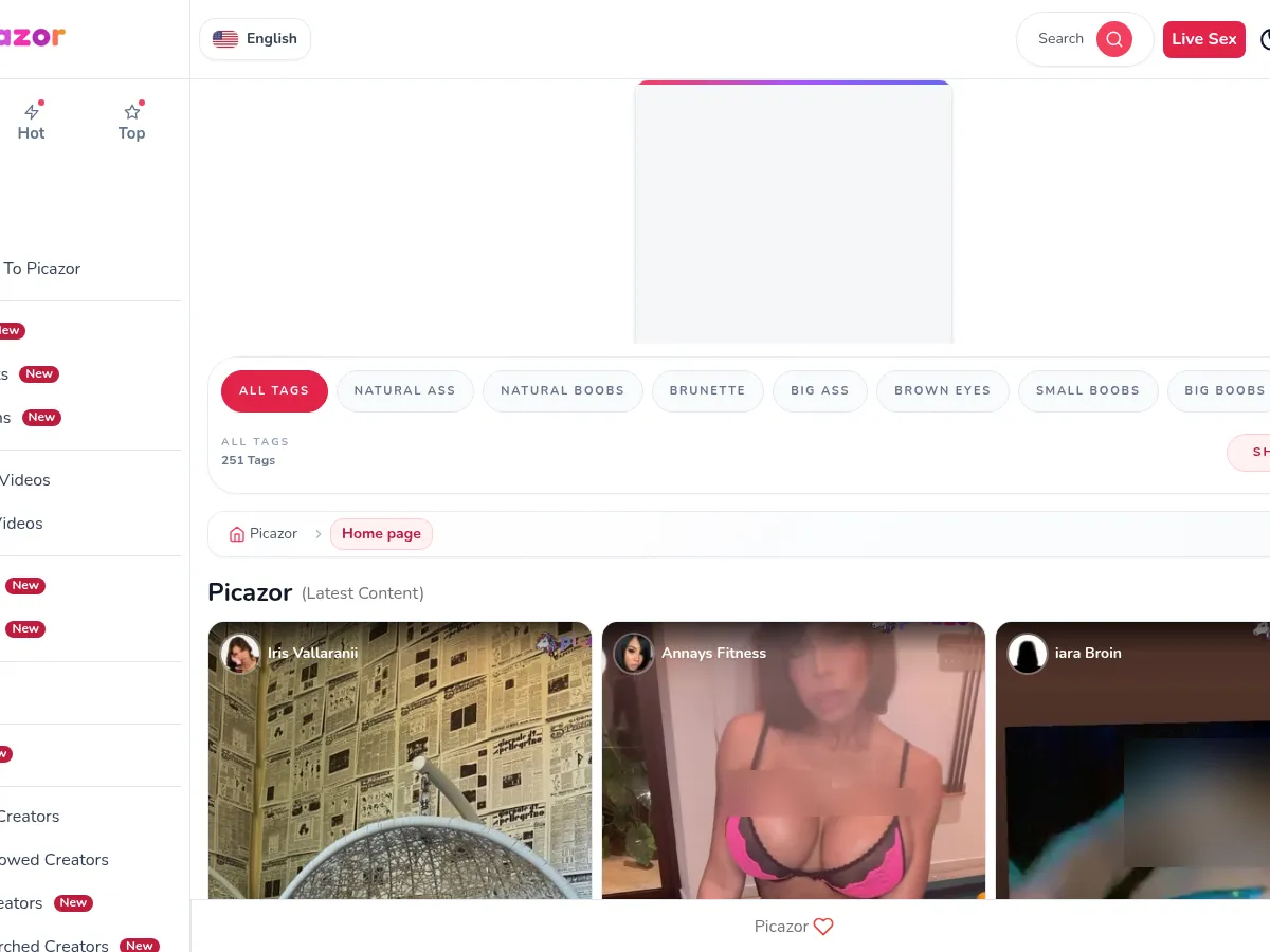 A heavily blurred, censored capture of the Picazor homepage — only soft shapes are visible, no explicit or readable content