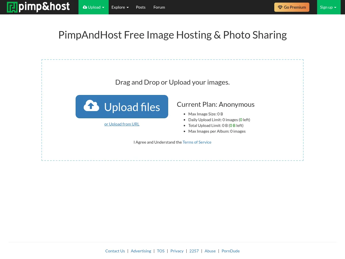 A heavily blurred, censored capture of the PimpAndHost homepage — only soft shapes are visible, no explicit or readable content