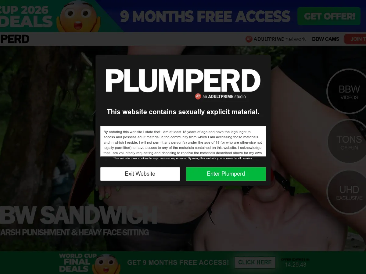 A heavily blurred, censored capture of the Plumperd homepage โ only soft shapes are visible, no explicit or readable content