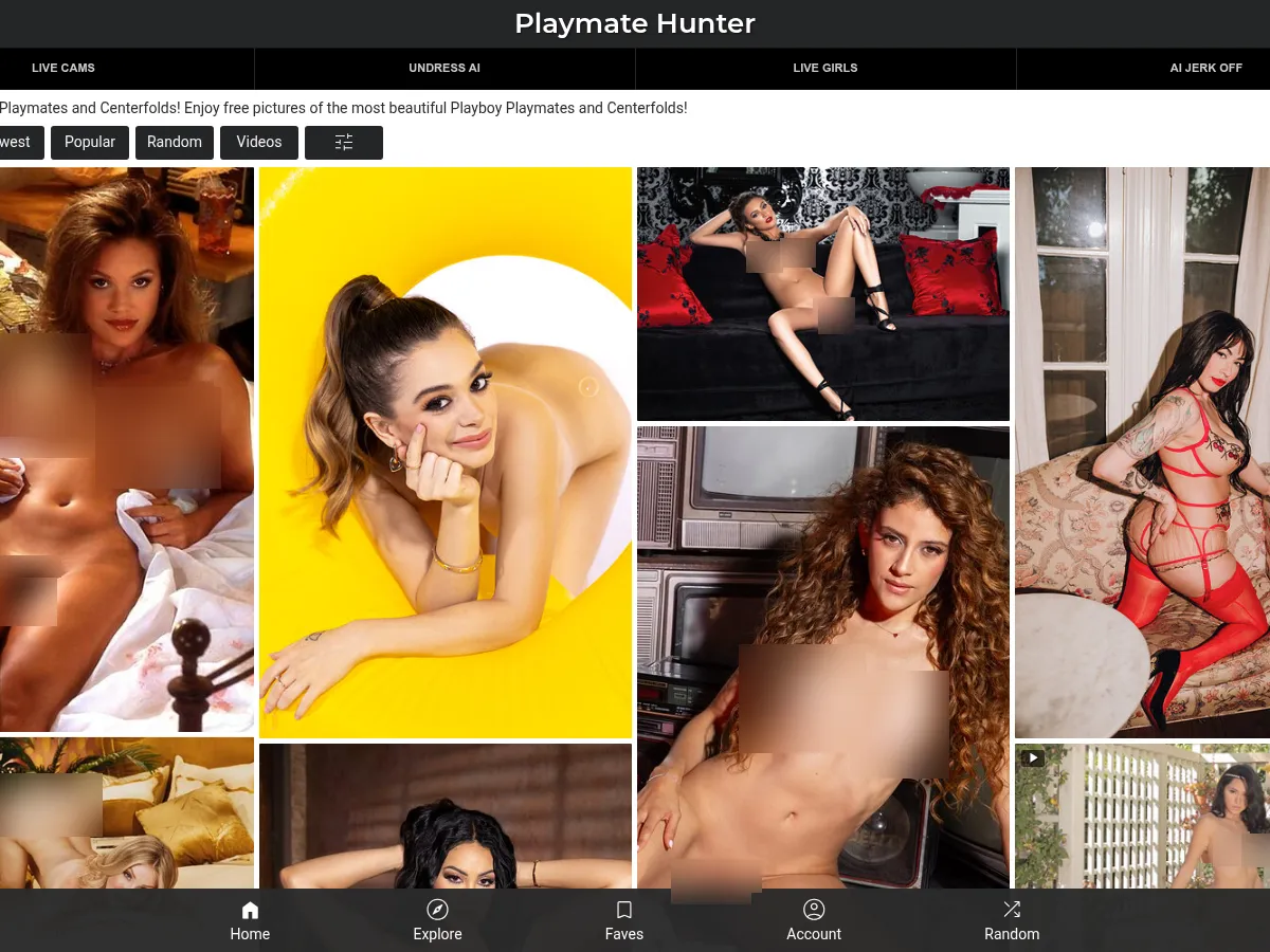 A heavily blurred, censored capture of the PmateHunter homepage — only soft shapes are visible, no explicit or readable content