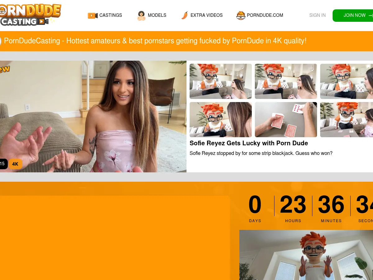 A heavily blurred, censored capture of the PornDudeCasting homepage — only soft shapes are visible, no explicit or readable content