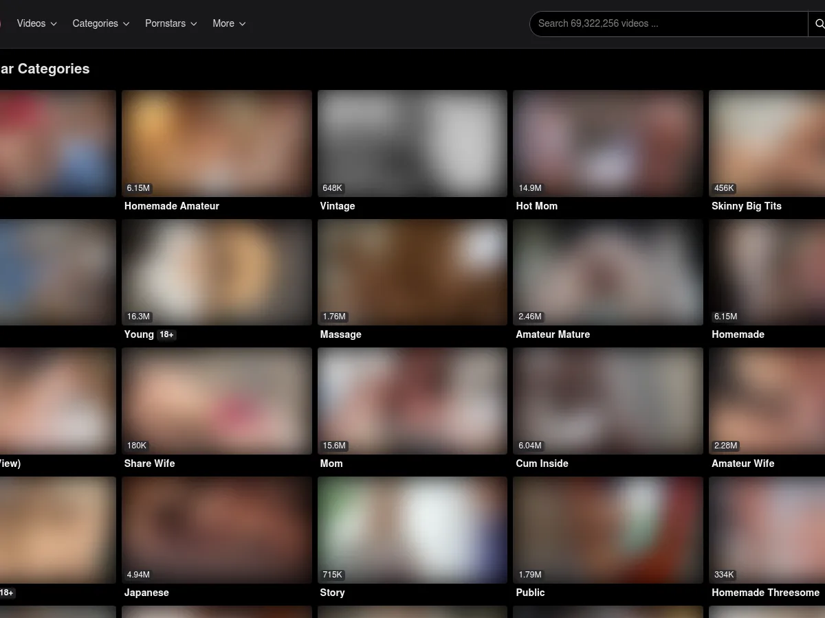 A heavily blurred, censored capture of the Porzo homepage — only soft shapes are visible, no explicit or readable content