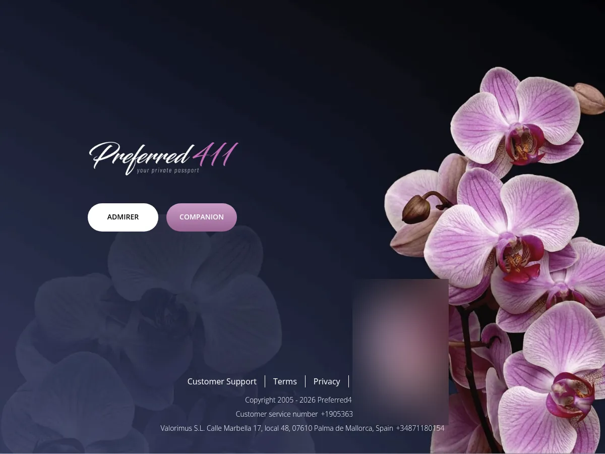 A heavily blurred, censored capture of the P411 (Preferred411) homepage โ only soft shapes are visible, no explicit or readable content