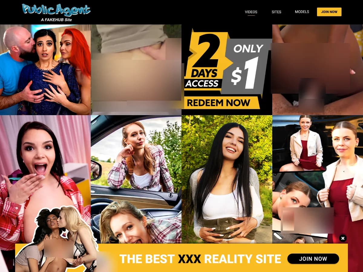 A heavily blurred, censored capture of the Public Agent homepage — only soft shapes are visible, no explicit or readable content