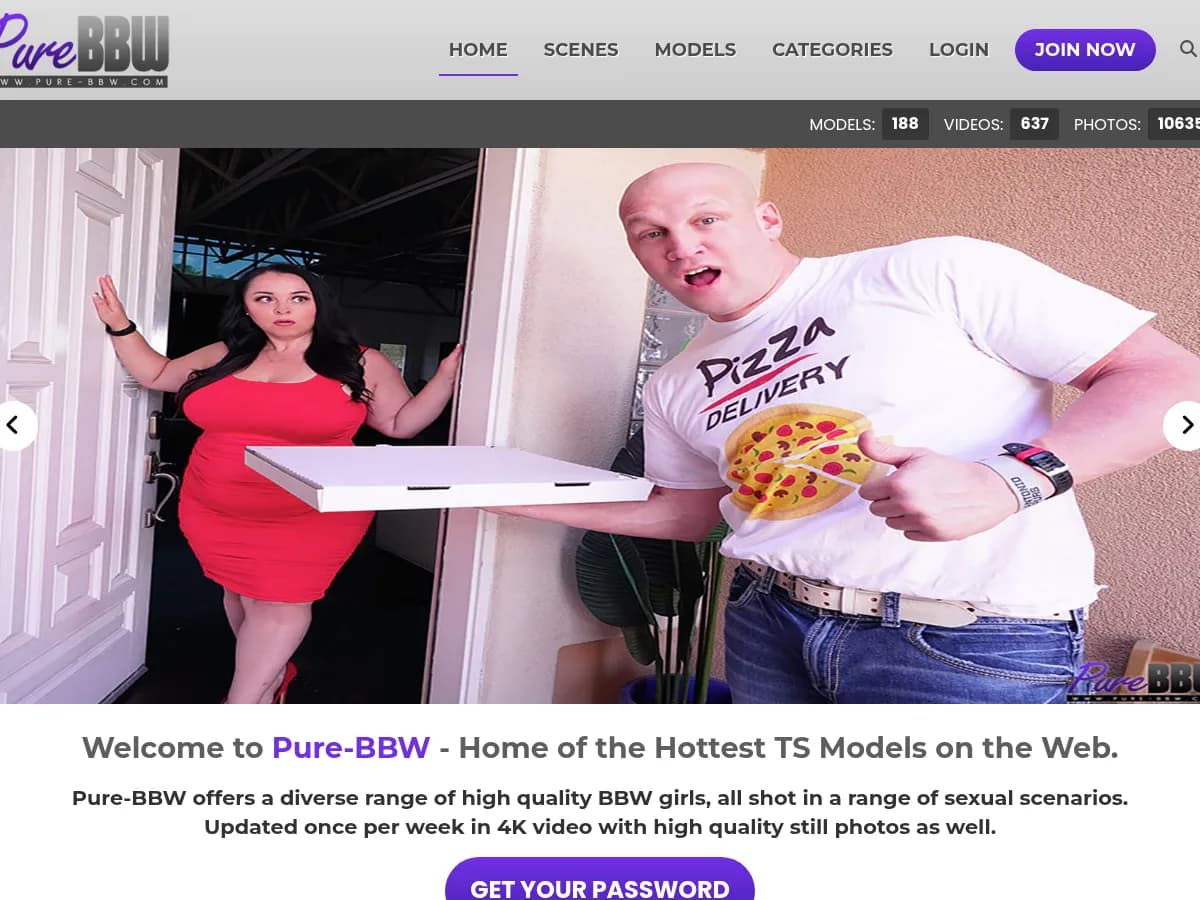 A heavily blurred, censored capture of the Pure BBW homepage — only soft shapes are visible, no explicit or readable content