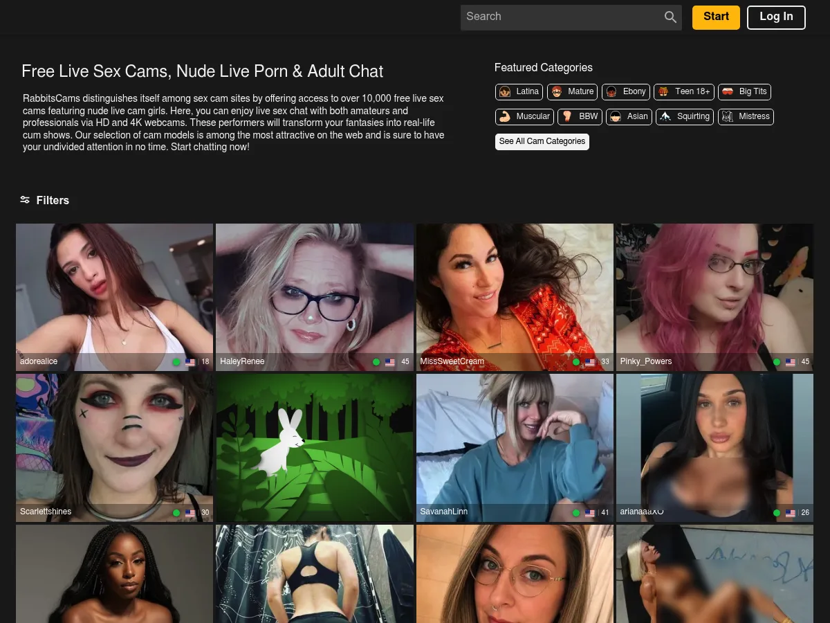 A heavily blurred, censored capture of the RabbitsCams homepage — only soft shapes are visible, no explicit or readable content