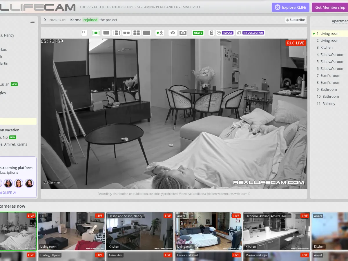 A heavily blurred, censored capture of the RealLifeCam homepage — only soft shapes are visible, no explicit or readable content