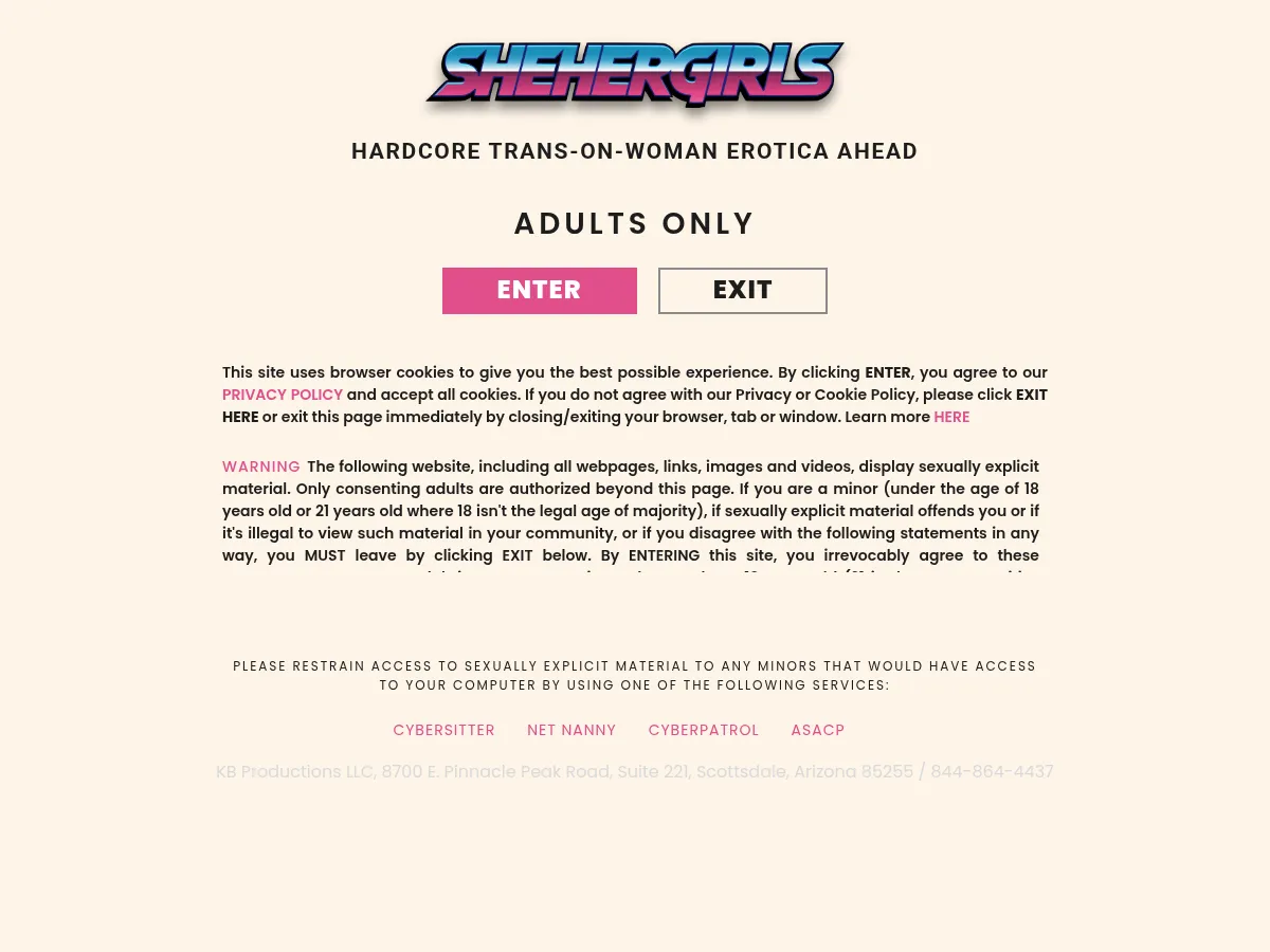 A heavily blurred, censored capture of the SheHerGirls homepage — only soft shapes are visible, no explicit or readable content