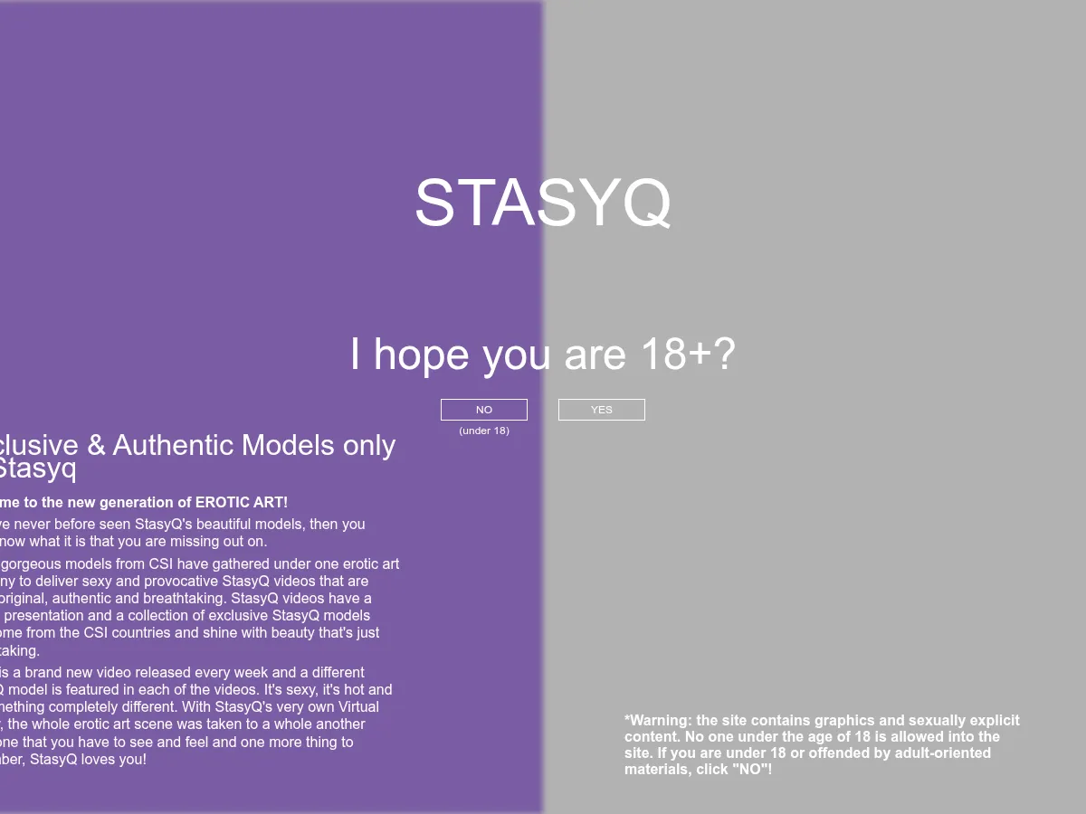 A heavily blurred, censored capture of the StasyQ homepage — only soft shapes are visible, no explicit or readable content