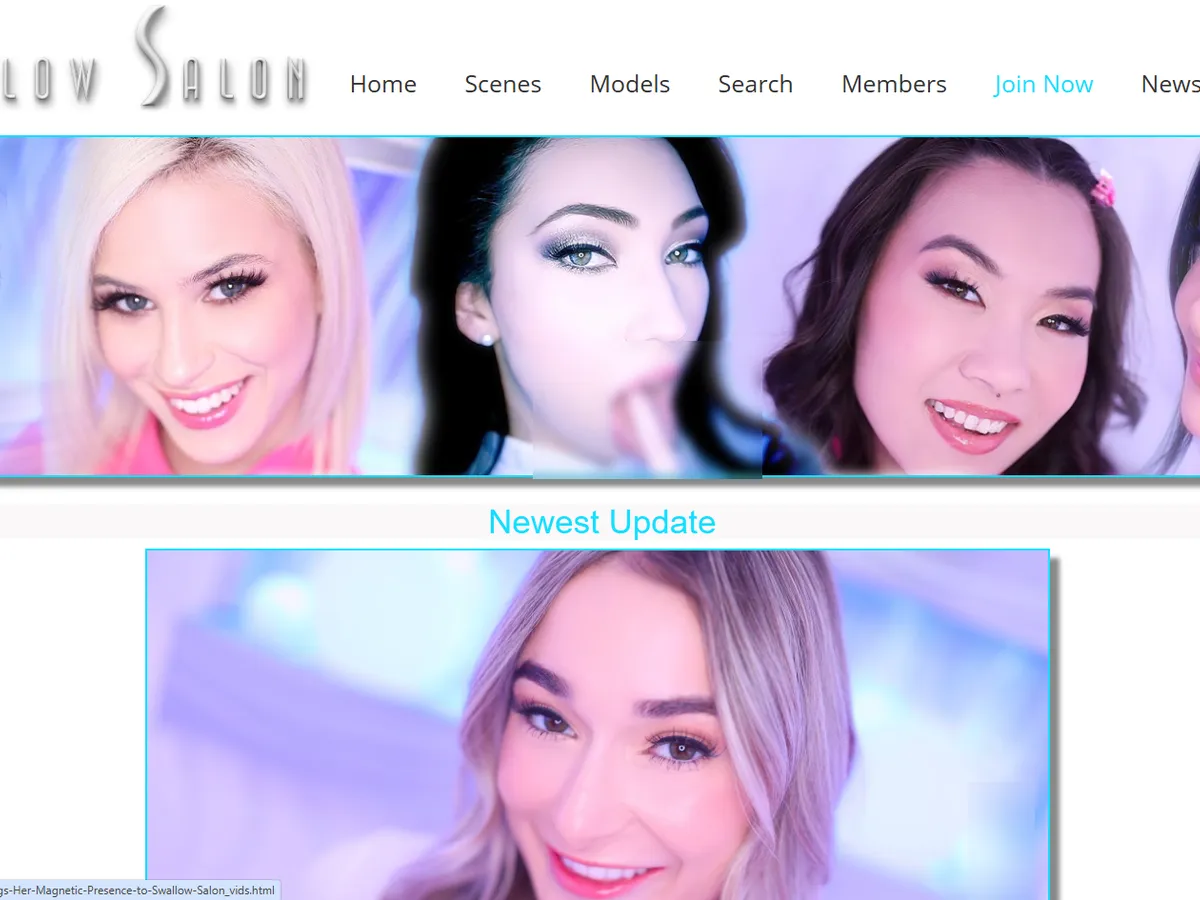 A heavily blurred, censored capture of the Swallow Salon homepage — only soft shapes are visible, no explicit or readable content