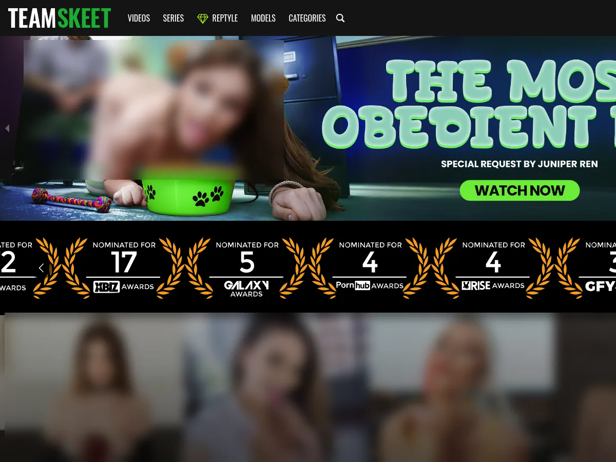 A heavily blurred, censored capture of the TeamSkeet homepage โ only soft shapes are visible, no explicit or readable content