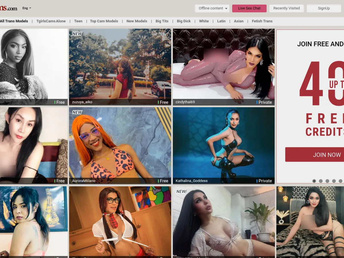 A heavily blurred, censored capture of the TgirlsCams homepage — only soft shapes are visible, no explicit or readable content
