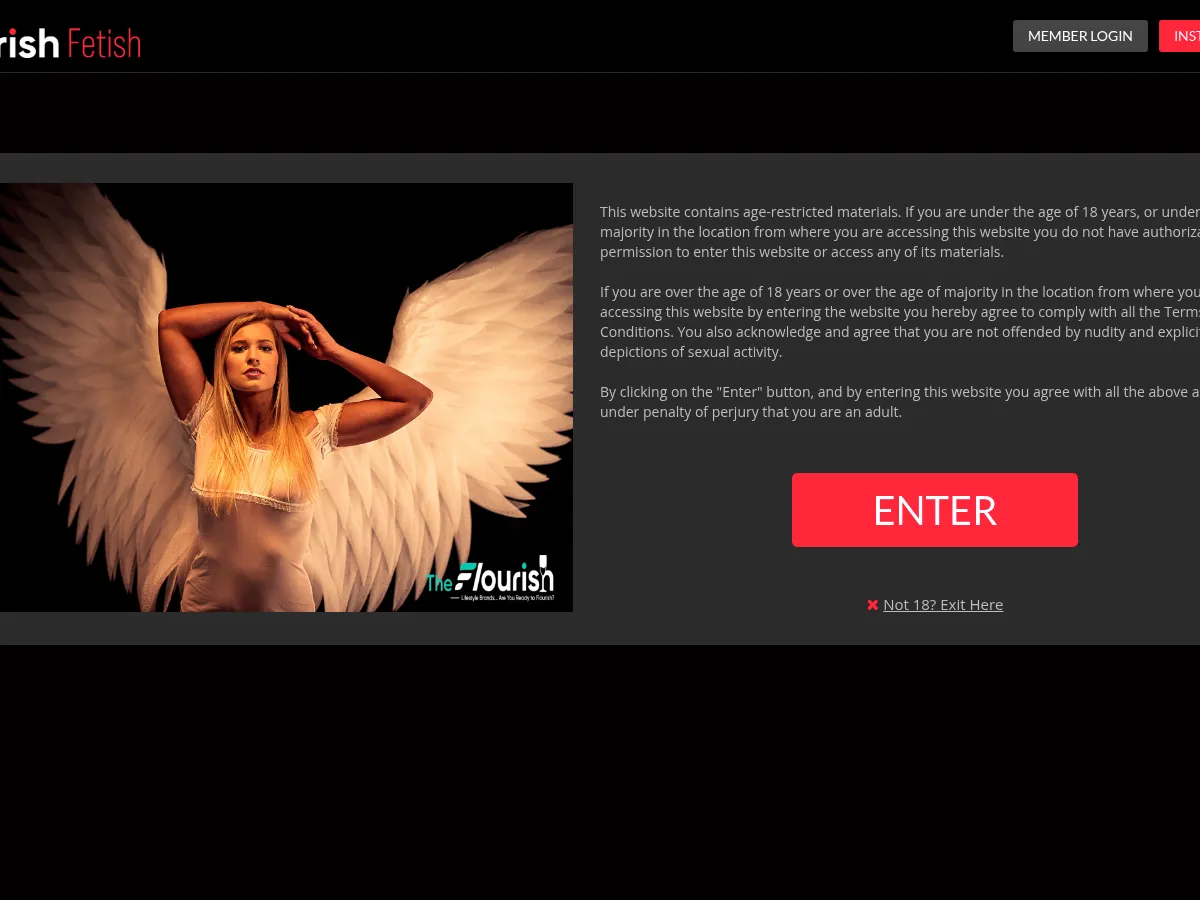 A heavily blurred, censored capture of the TheFlourishFetish homepage โ only soft shapes are visible, no explicit or readable content