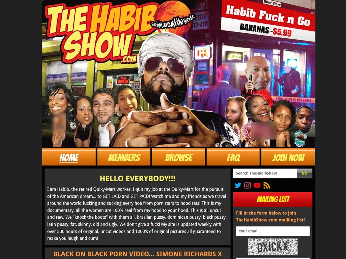 A heavily blurred, censored capture of the The Habib Show homepage — only soft shapes are visible, no explicit or readable content