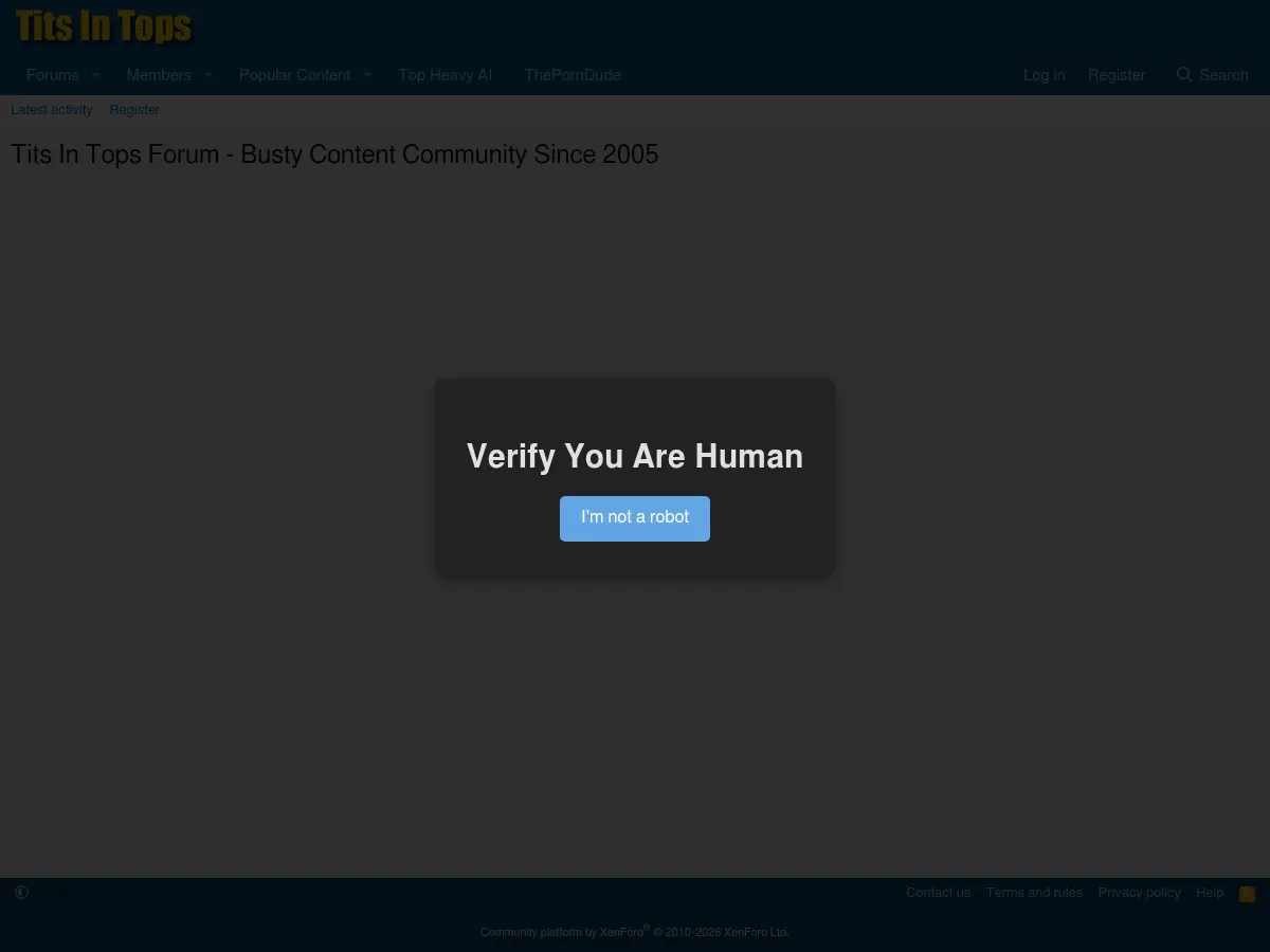 A heavily blurred, censored capture of the TitsInTops Forum homepage — only soft shapes are visible, no explicit or readable content