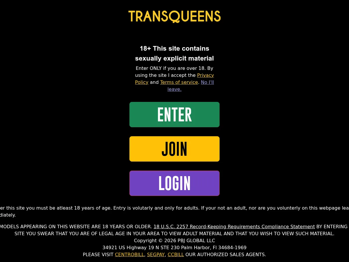 A heavily blurred, censored capture of the Trans Queens homepage — only soft shapes are visible, no explicit or readable content