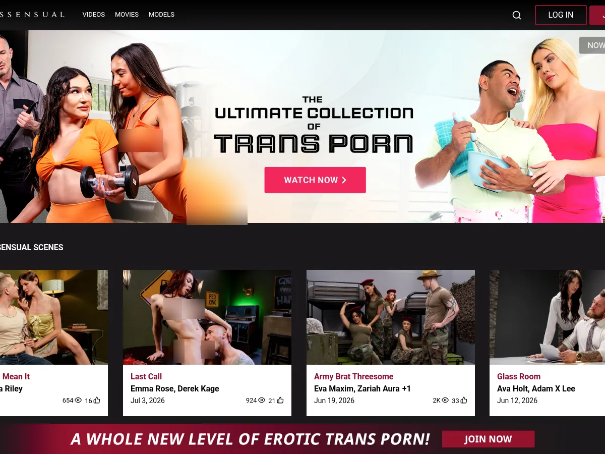 A heavily blurred, censored capture of the Transsensual homepage โ only soft shapes are visible, no explicit or readable content