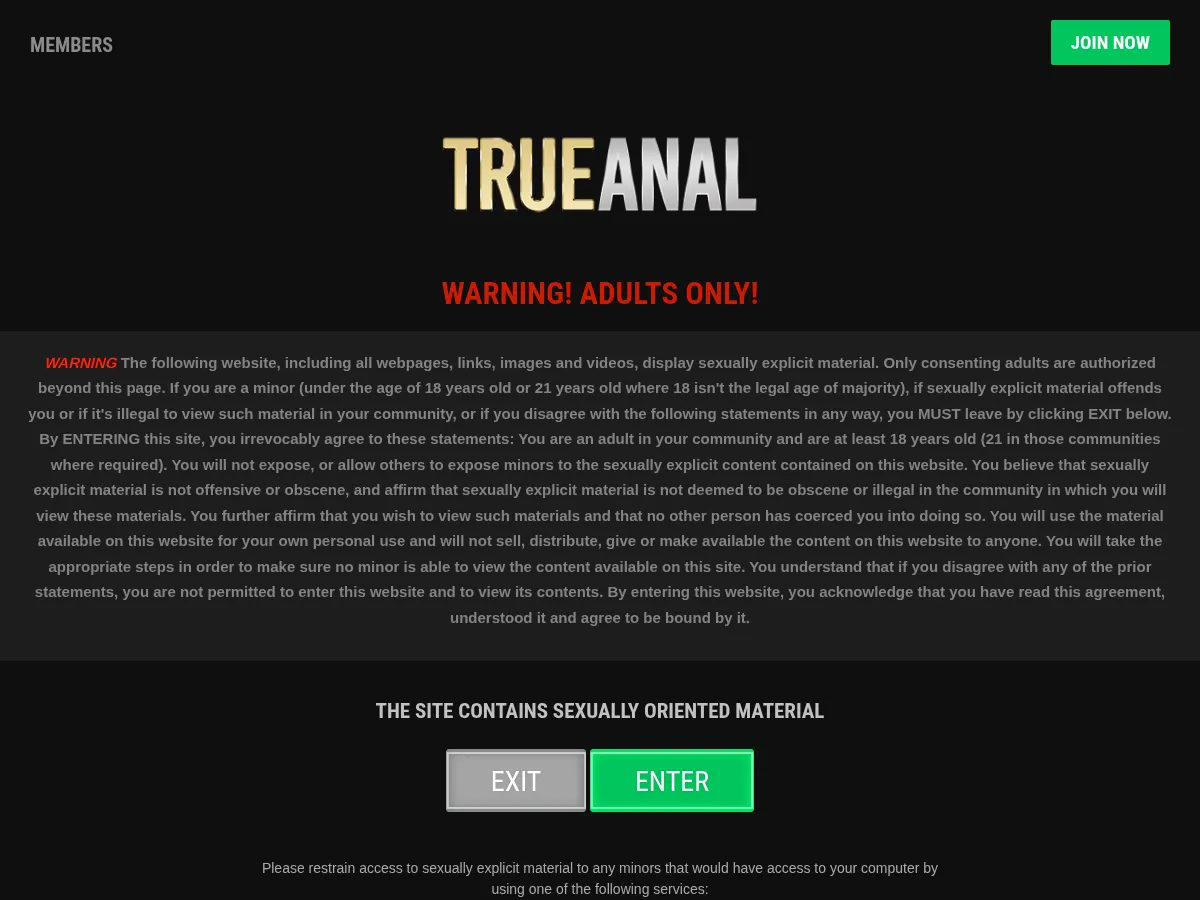A heavily blurred, censored capture of the TrueAnal homepage โ only soft shapes are visible, no explicit or readable content