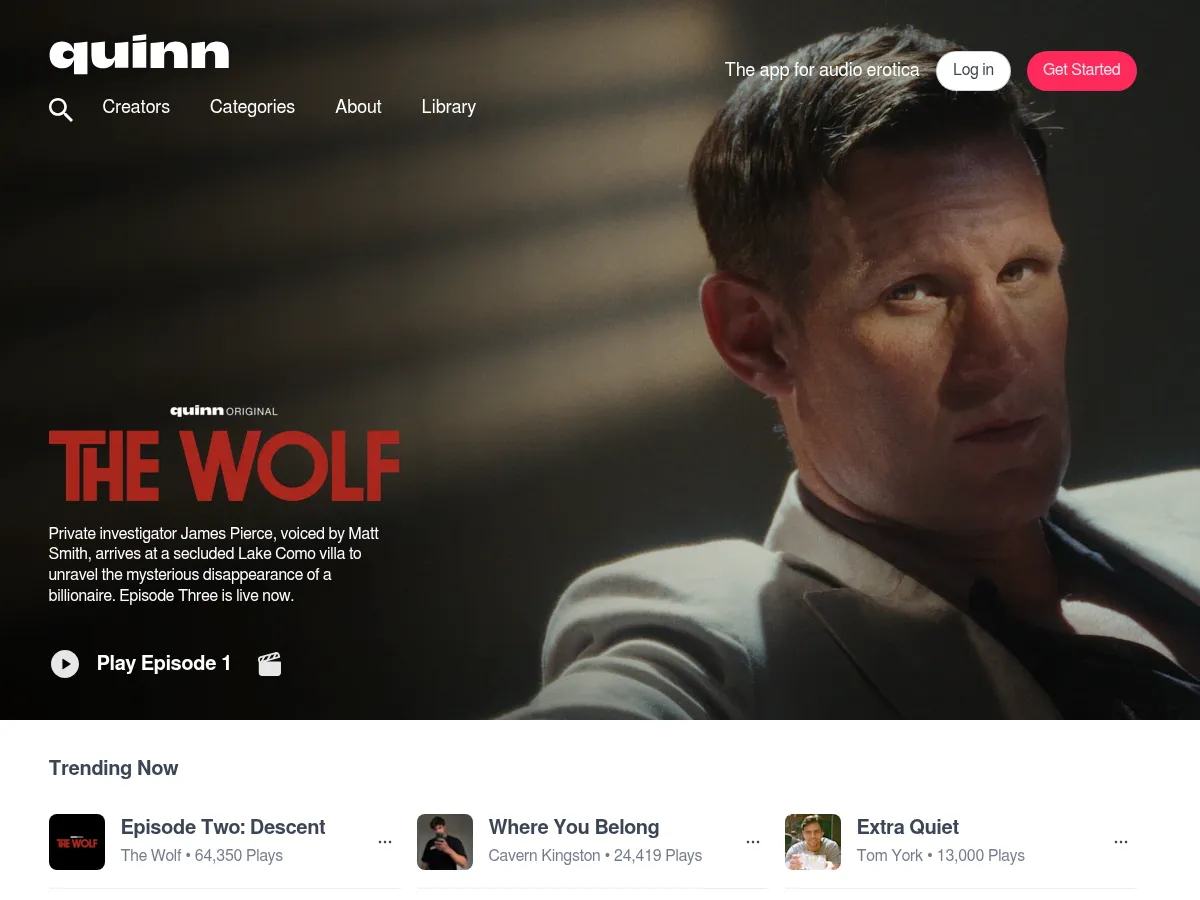A heavily blurred, censored capture of the TryQuinn homepage — only soft shapes are visible, no explicit or readable content