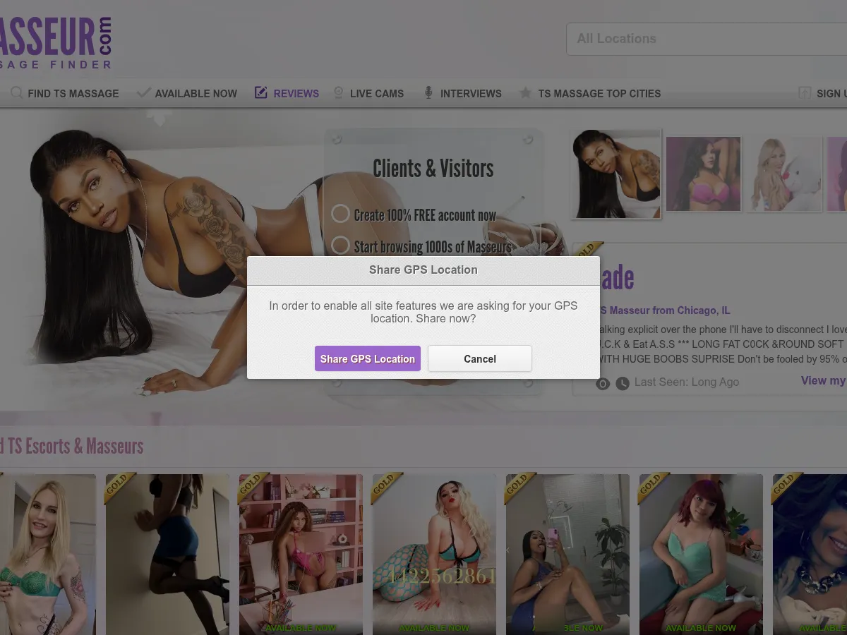 A heavily blurred, censored capture of the TSMasseur homepage โ only soft shapes are visible, no explicit or readable content